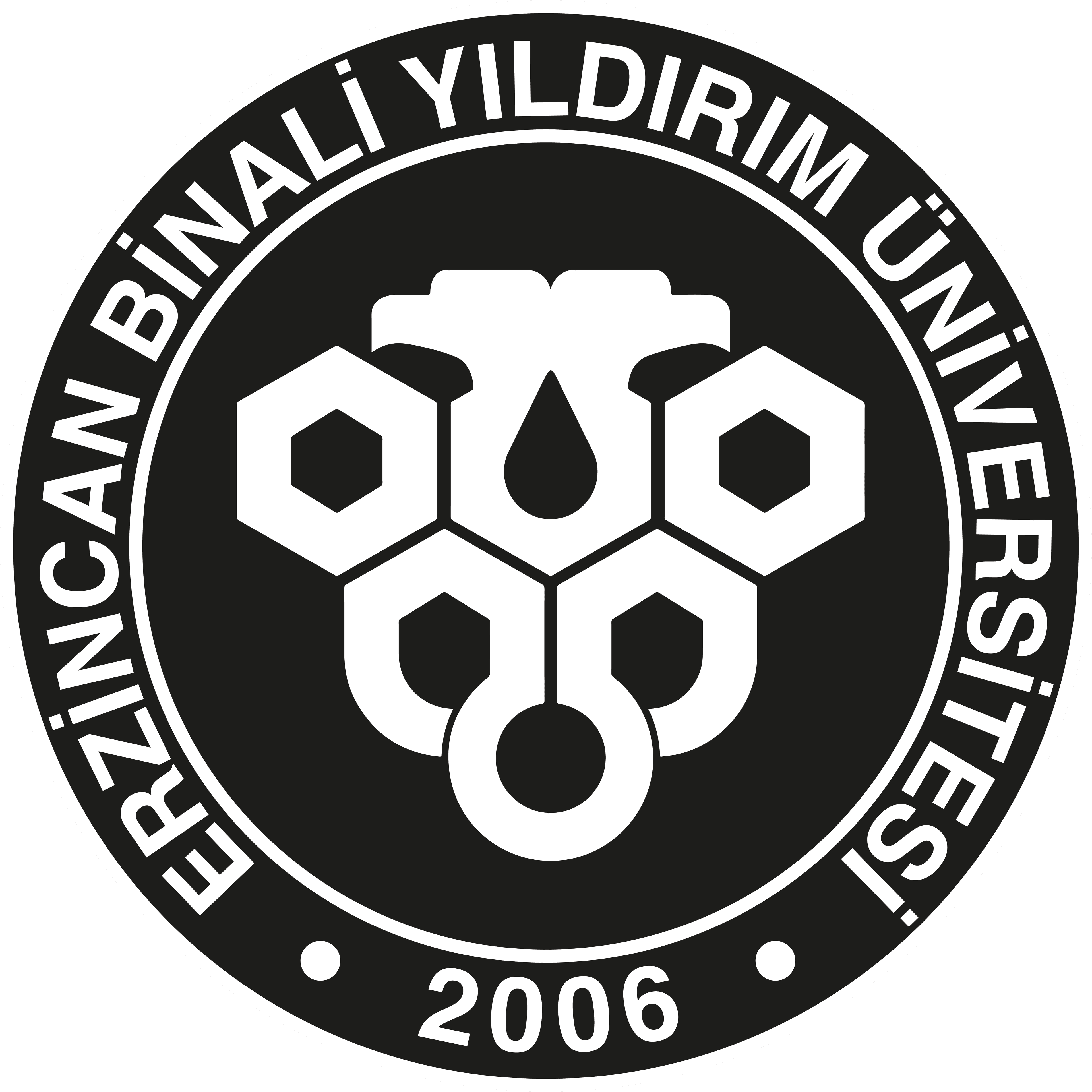 Erzincan Binali Yıldırım University — logo